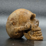 Sarsen Skull