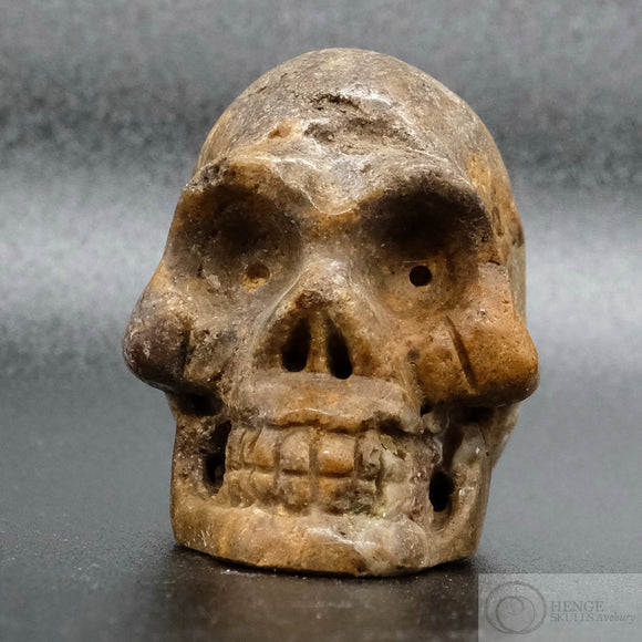 Sarsen Skull