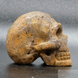 Sarsen Skull