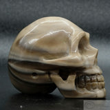 Sarsen Skull