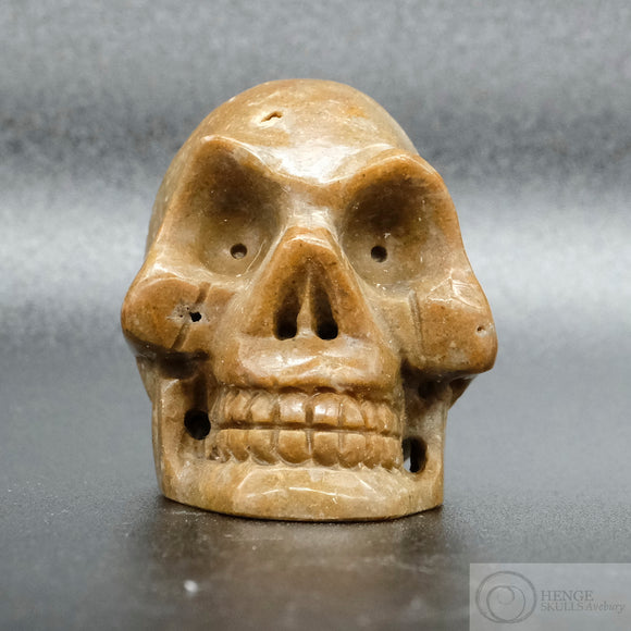 Sarsen Skull