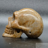 Sarsen Skull