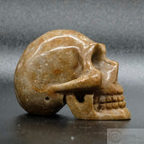 Sarsen Skull