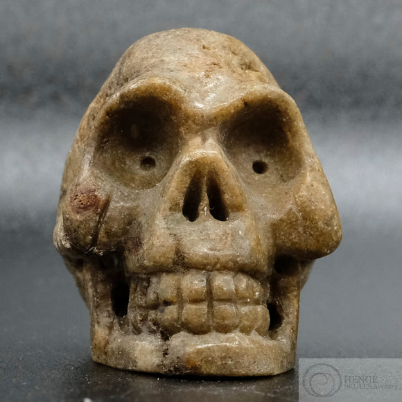 Sarsen Skull