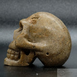 Sarsen Skull