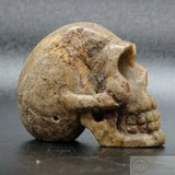 Sarsen Skull