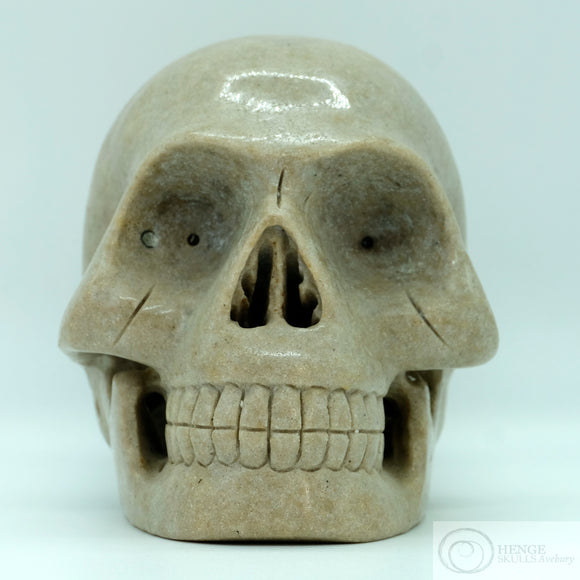 Avebury Sarsen Stone Human Skull (ASS01)