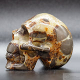 Septarian Human Skull (Sep03)