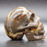 Septarian Human Skull (Sep03)