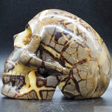 Septarian Geode Human Skull (Sep04)