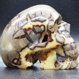 Septarian Geode Human Skull (Sep04)