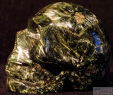 Seraphenite Human Skull