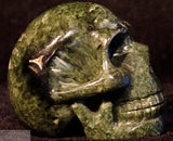 Seraphenite Human Skull
