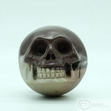 Shiva Lingham Human Skull (SL01)