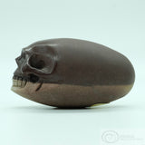 Shiva Lingham Human Skull (SL01)