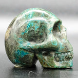 Silicated Chrysocolla Skull