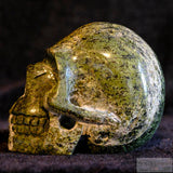 Silver Leaf Jasper Human Skull (SLJ01)