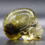 Smoky Citrine Human Skull (SC07)