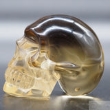 Smoked Citrine Human Skull (SC04)