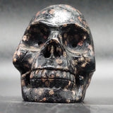 Snowflake Obsidian Human Skull (SnO06)