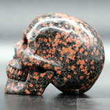Snowflake Obsidian Human Skull (SnO01)
