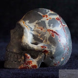 Sonora Dendritic Skull