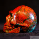 Sonora Sunrise Skull