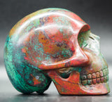 Sonora Sunrise Human Skull (SS16)