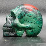 Sonora Sunrise Human Skull (SS08)