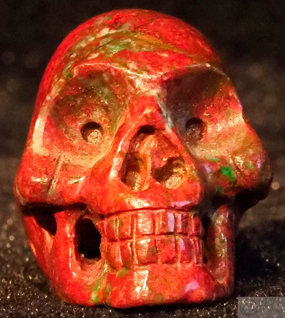 Sonora Sunrise Human Skull