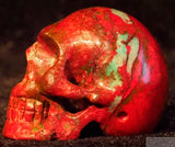 Sonora Sunrise Human Skull