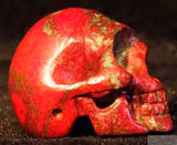 Sonora Sunrise Human Skull