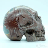 Sonora Dendritic Jasper Human Skull (SDJ01)