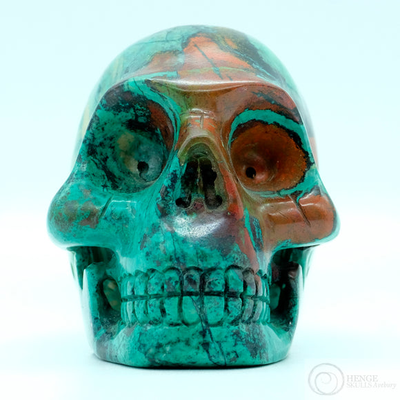Sonora Sunrise Human Skull (SS04)