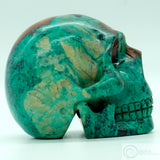 Sonora Sunrise Human Skull (SS04)