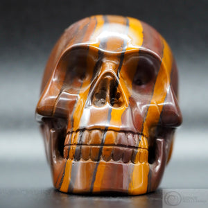 Stromatolite Human Skull (Strom01)