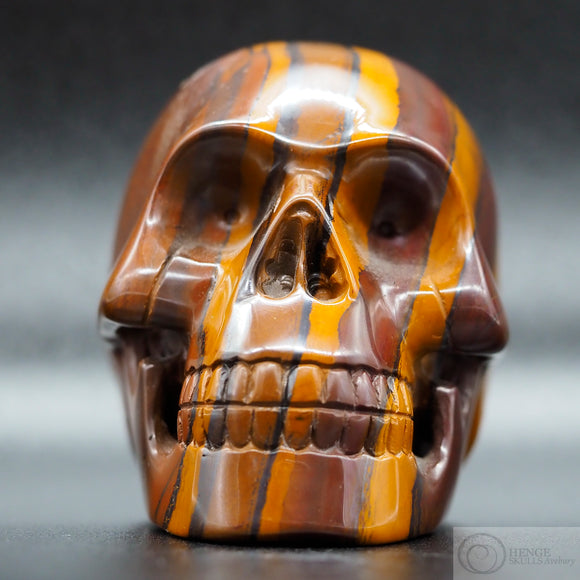 Stromatolite Human Skull (Strom01)
