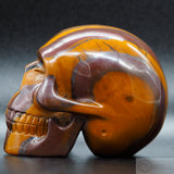 Stromatolite Human Skull (Strom01)
