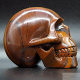 Stromatolite Human Skull (Strom01)