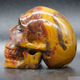 Sundance Jasper Human Skull (SunJ03)