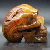 Sundance Jasper Human Skull (SunJ03)