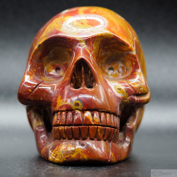 Sundance Jasper Human Skull (SunJ02)