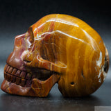 Sundance Jasper Human Skull (SunJ02)