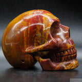 Sundance Jasper Human Skull (SunJ02)