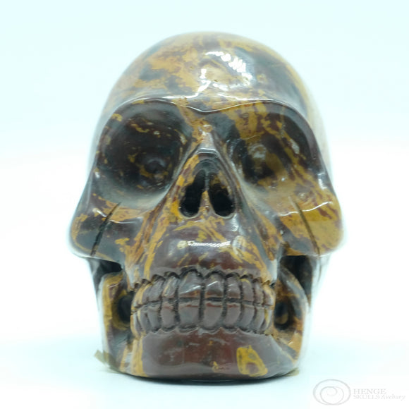 Sundance Jasper Human Skull (SunJ01)