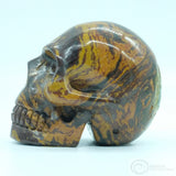 Sundance Jasper Human Skull (SunJ01)