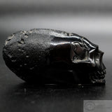 Tektite Skull