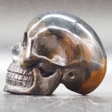 Tiger Eye Human Skull (TE05)