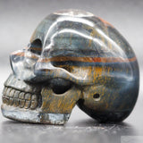 Tiger Eye Human Skull