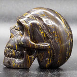 Tiger Iron Human Skull (TI11)
